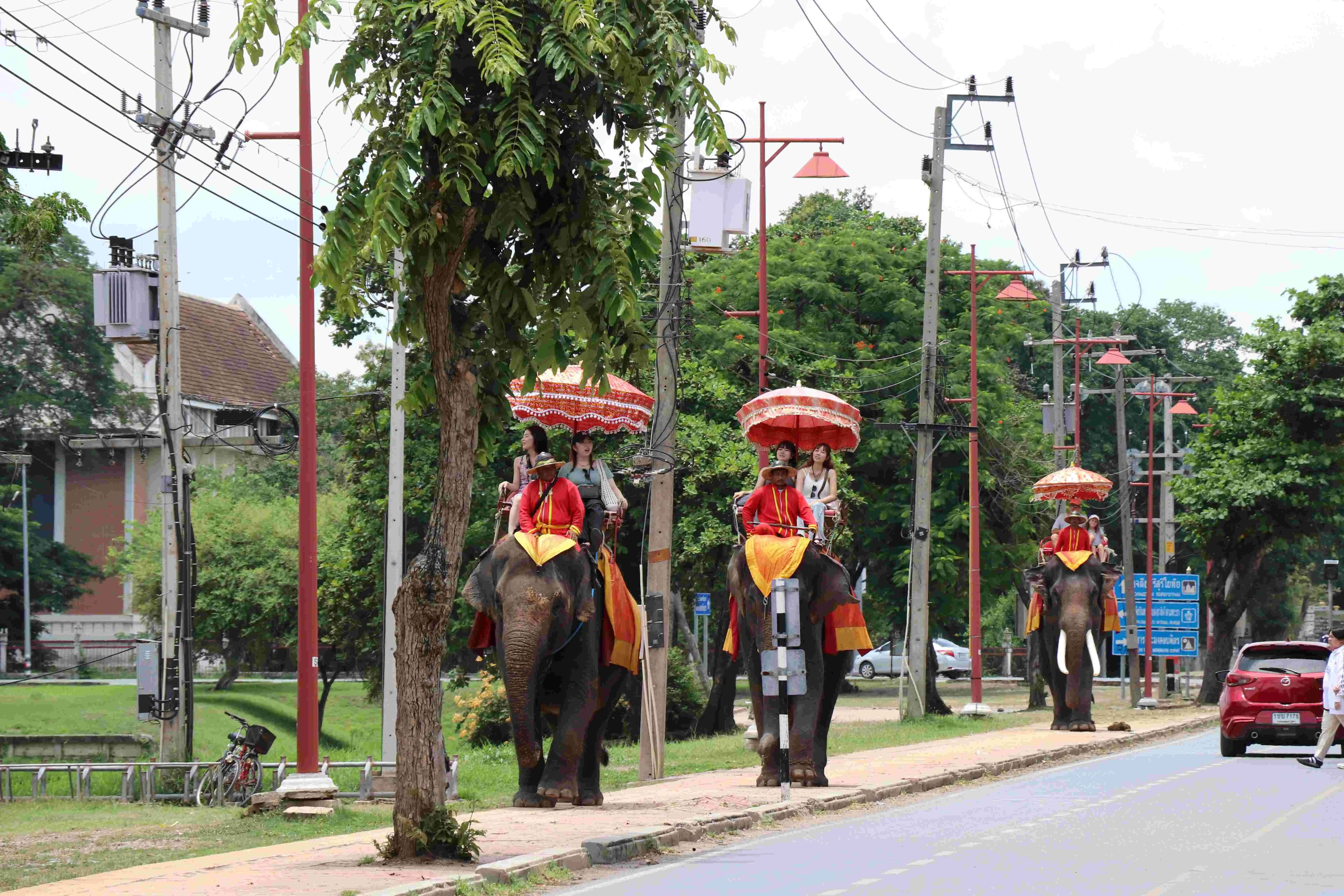 {"id":821,"name":"package-tours\/places\/4-4-e8262c0ed57f2ae20f4b4522cd6ec7ef.webp","package_tours_places_id":4,"alt":"Elephant Village","position":4,"cover":0,"status":1,"created_at":"2024-09-08T08:28:18.000000Z","updated_at":"2024-09-08T08:28:18.000000Z","deleted_at":null}
