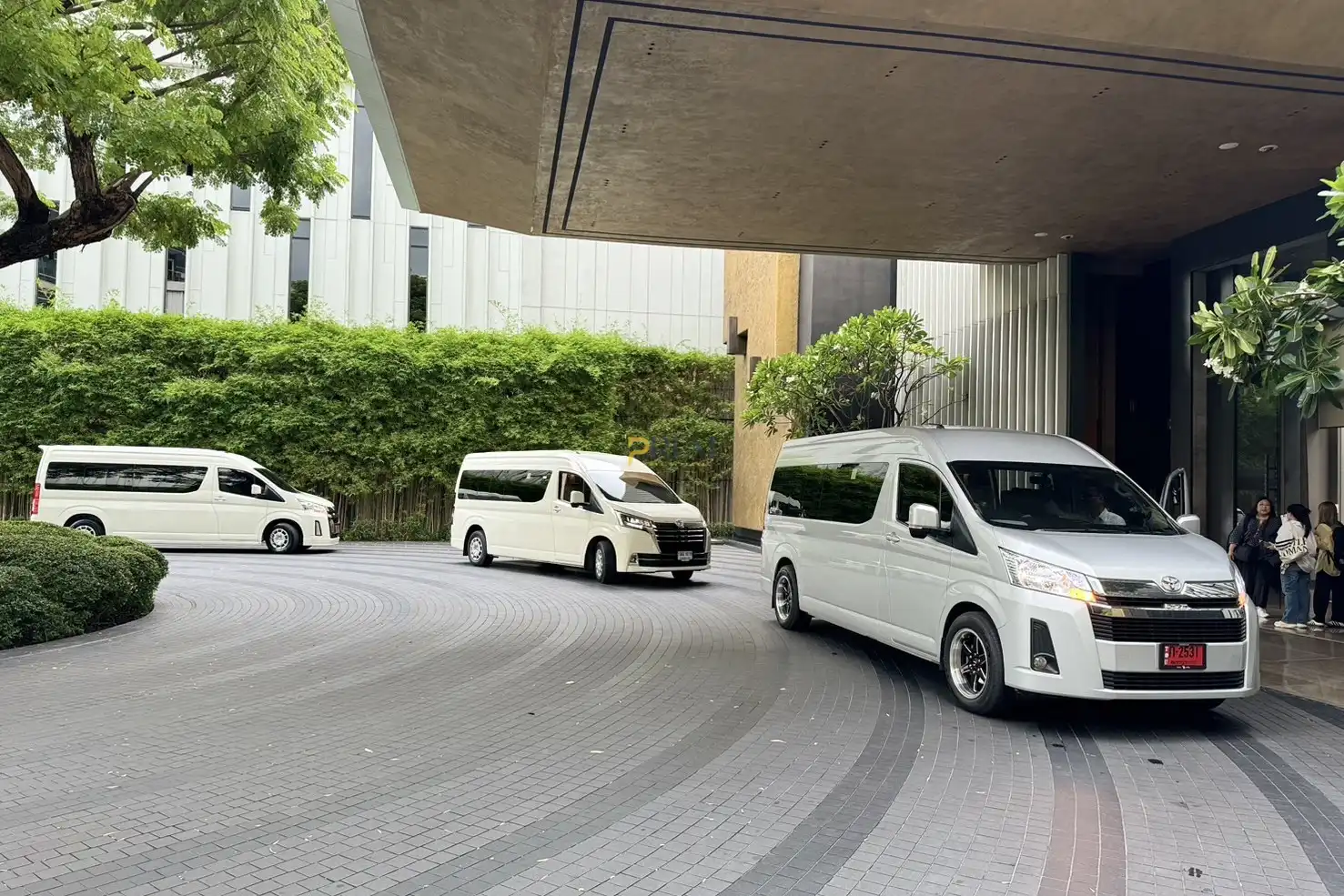 Luxury Van and Hyundai H1