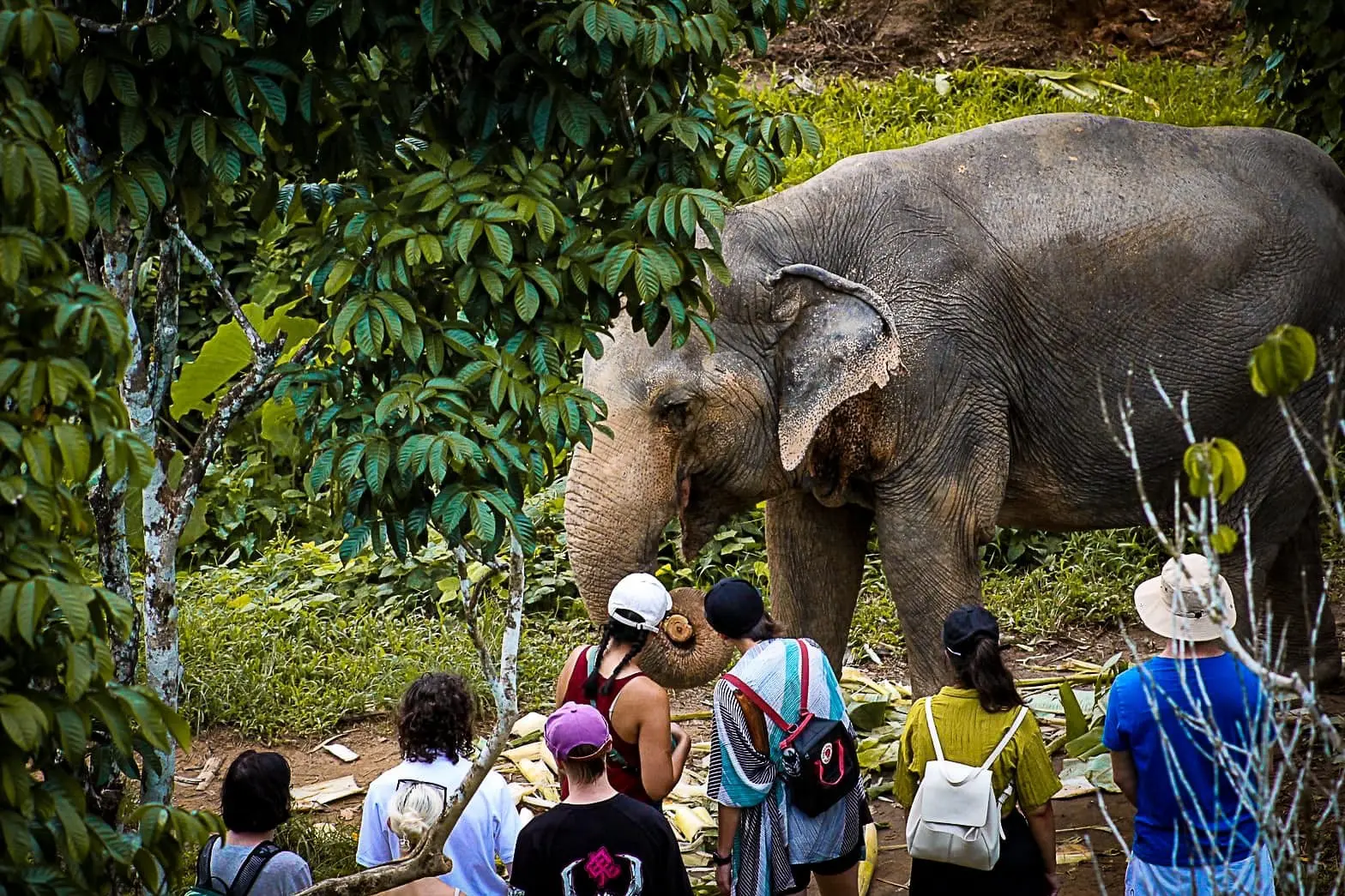 Phuket - Things to do