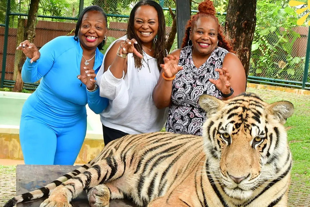 Phuket - Things to do